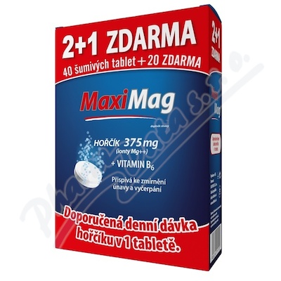 MaxiMag Hořčík+B6 šum.tb.2+1zdar.3x20 tb