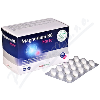 Magnesium B6 Forte tbl.100+20 Moje lékárna